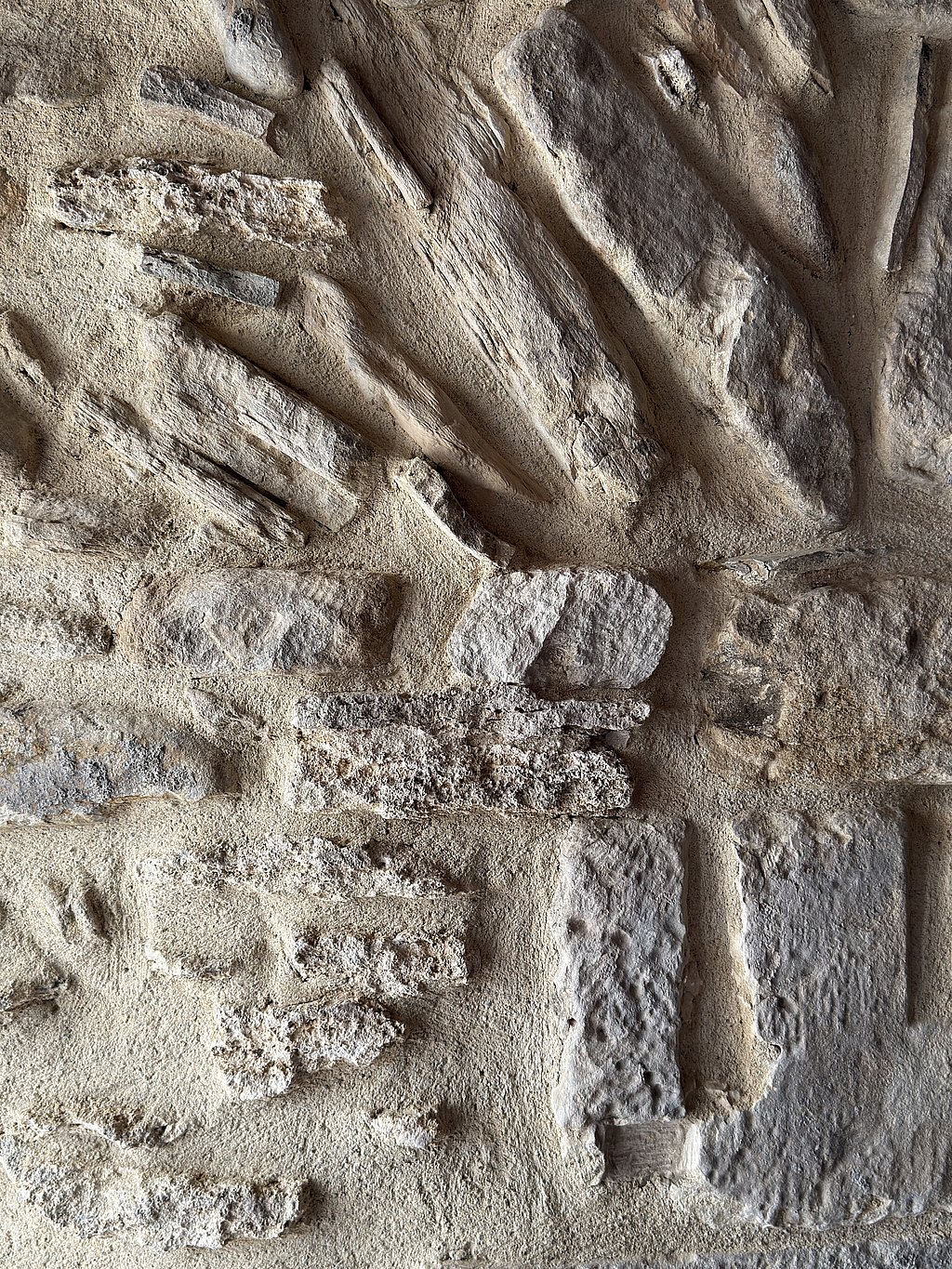 Orientació Professional