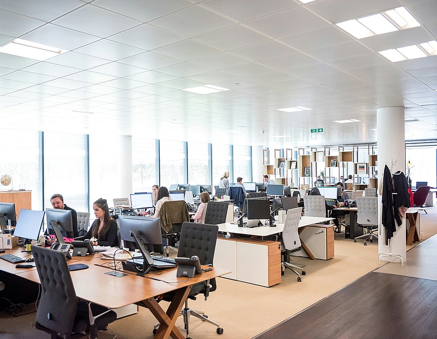 Orientació Professional